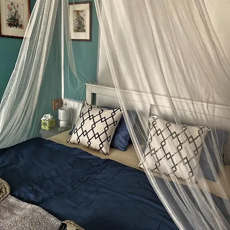 Borostyan 住宿加早餐酒店 蒂豪尼