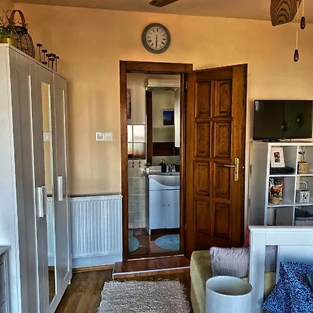 住宿加早餐酒店 Borostyan 3*