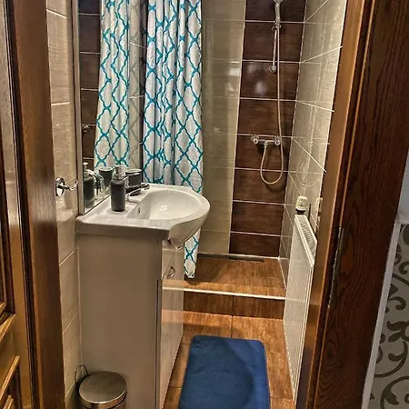 住宿加早餐酒店 Borostyan