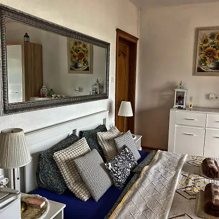 住宿加早餐酒店 Borostyan 蒂豪尼