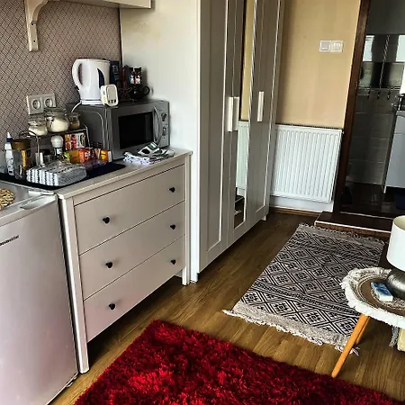 住宿加早餐酒店 Borostyan 蒂豪尼